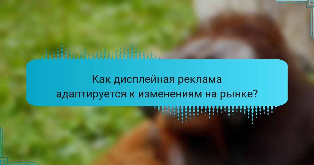Как дисплейная реклама адаптируется к изменениям на рынке?