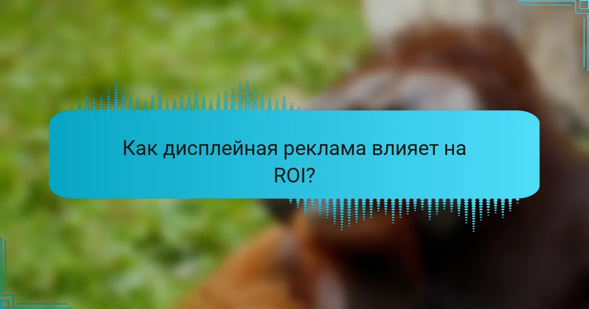 Как дисплейная реклама влияет на ROI?