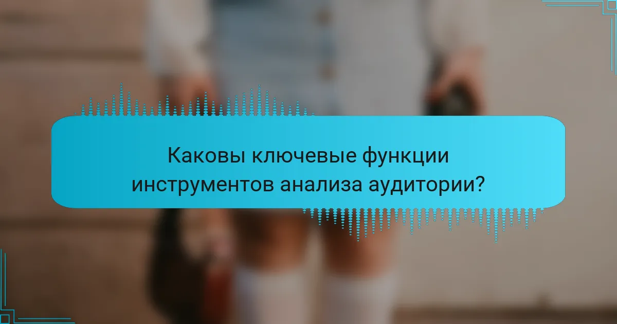 Каковы ключевые функции инструментов анализа аудитории?
