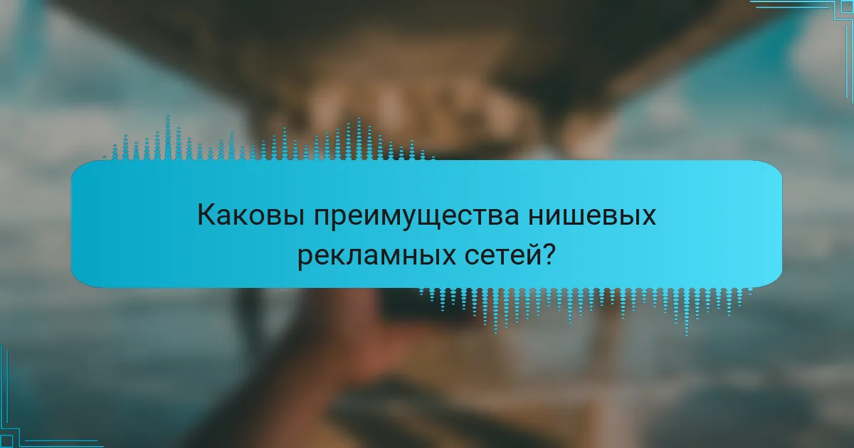 Каковы преимущества нишевых рекламных сетей?