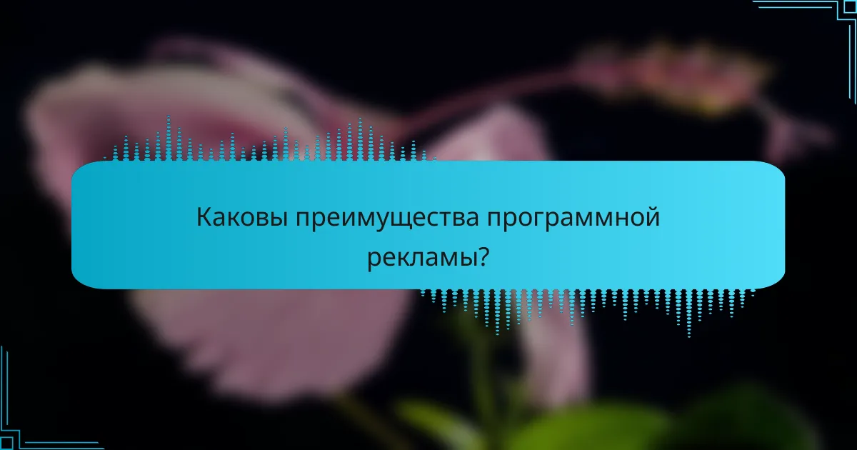 Каковы преимущества программной рекламы?
